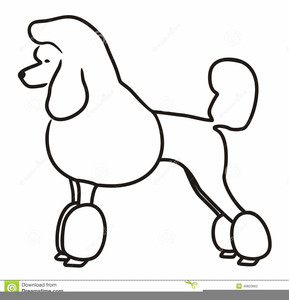 289x300 Poodle Clipart Lovely Free French Poodle Clipart Download Free
