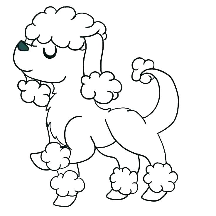 736x736 Poodle Coloring