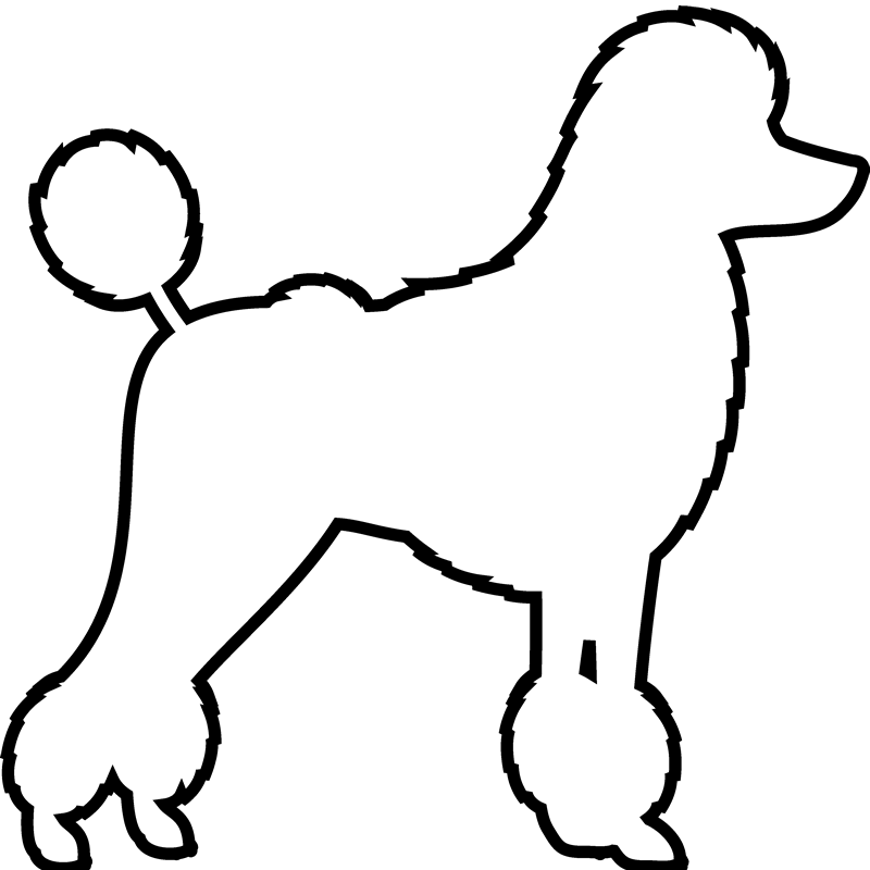 800x800 Drawing Poodles Outline For Free Download
