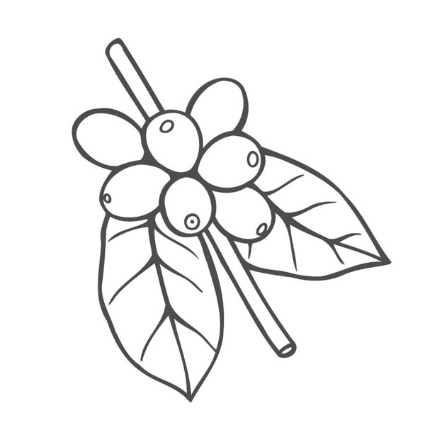 600x600 Vector Line Icon Of Coffee Tree Art Print