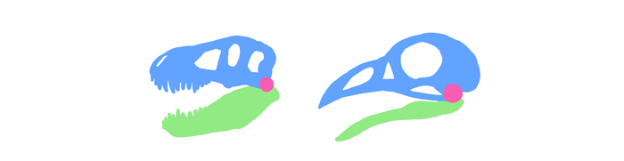 700x181 How To Draw Birds Step