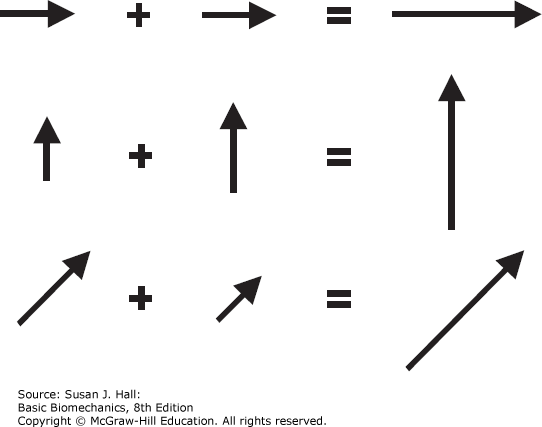 542x427 kinetic concepts for analyzing human motion basic biomechanics