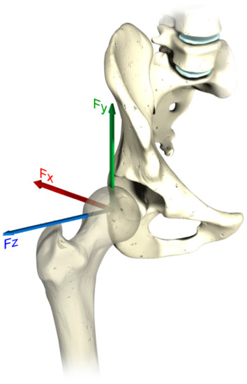 354x550 Materials Special Issue Advanced Biomaterials For Orthopaedic