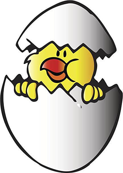 432x606 Huge Collection Of 'egg Cartoon Drawing' Download More Than
