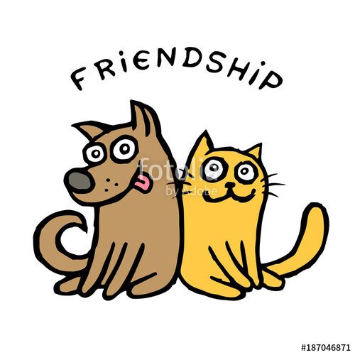 500x500 Friendship Dog Kik And Cat Tik