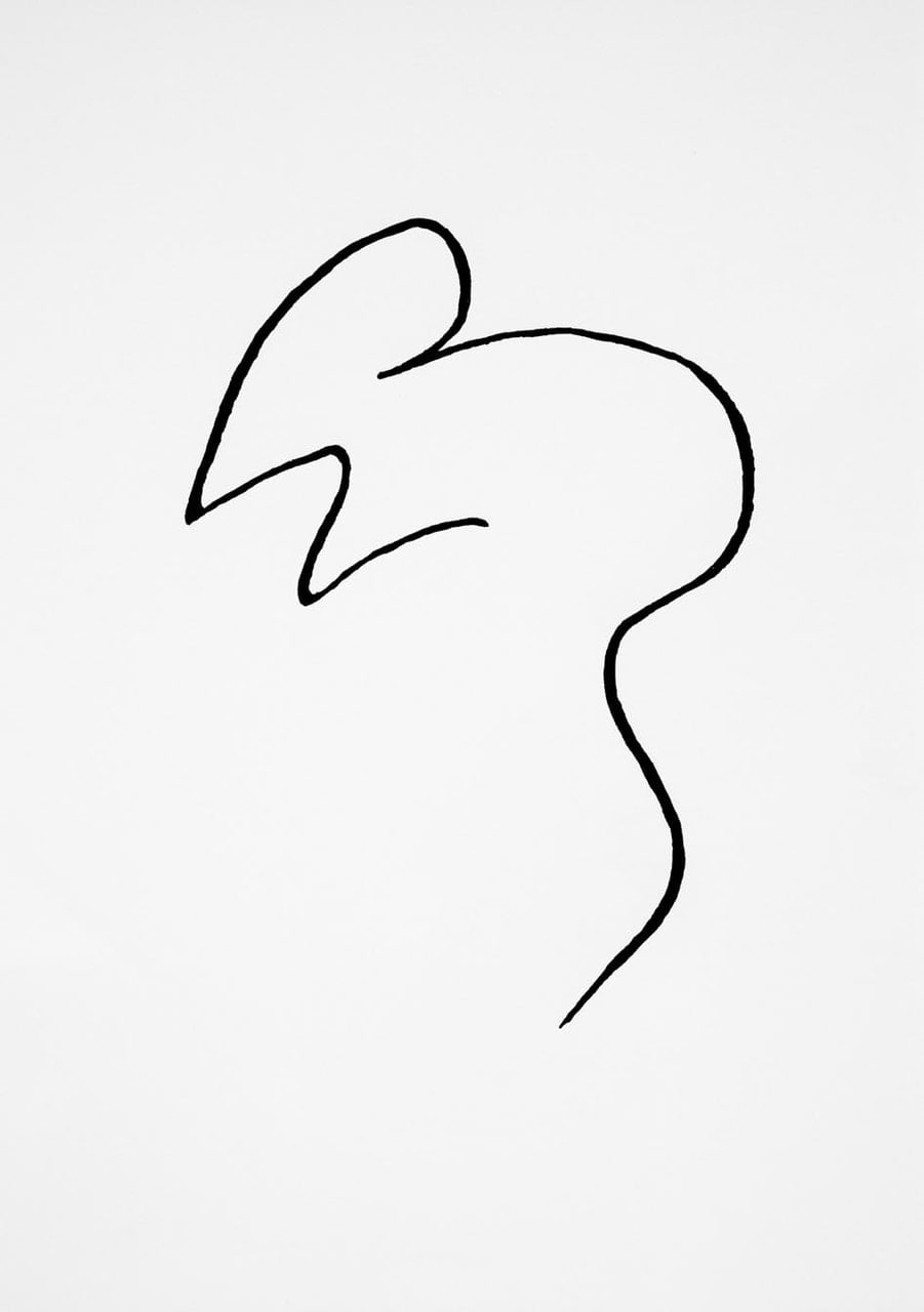 901x1280 Can A Cat And A Mouse Be Friends On We Heart It