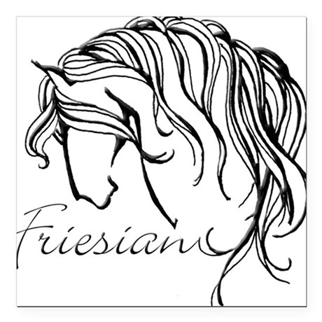 460x460 friesian square car magnet