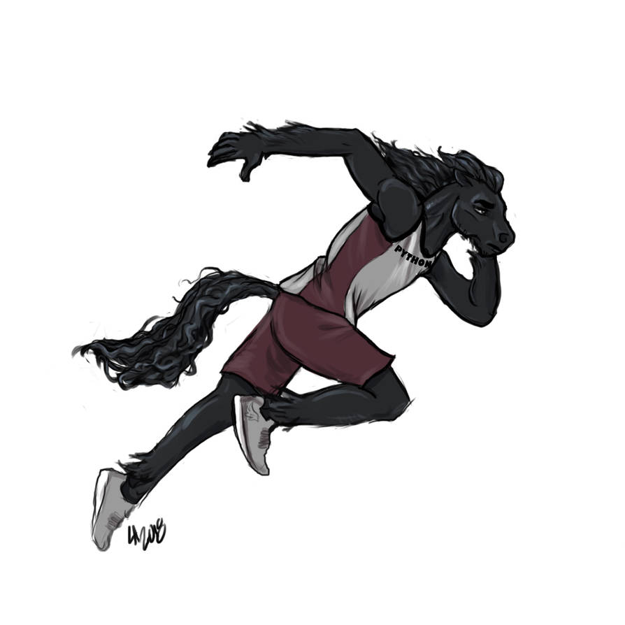 894x894 friesian athlete commission