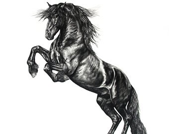 340x270 friesian horse art etsy
