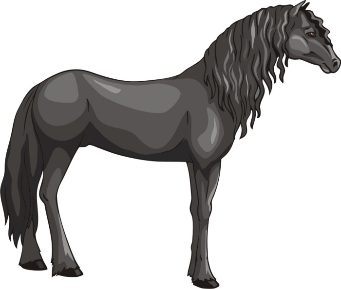 700x594 huge collection of 'friesian horse clipart' download more than