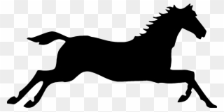 320x161 colorful horse png clipart stallion friesian horse