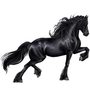 Collection of Friesian clipart | Free download best Friesian clipart on ...