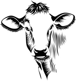260x280 download cow black and white drawing clipart holstein friesian