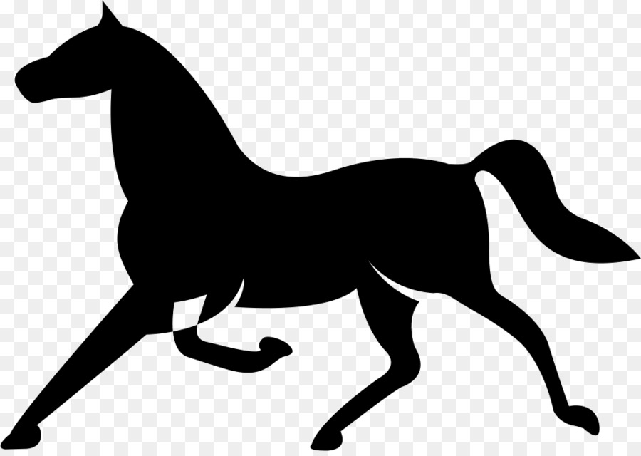 900x640 arabian horse friesian horse andalusian horse stallion black