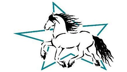 433x247 friesian horse association of the mid east