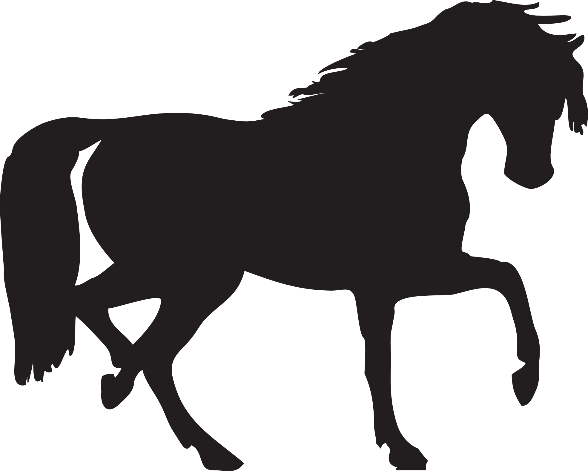 1969x1577 friesian horse clipart