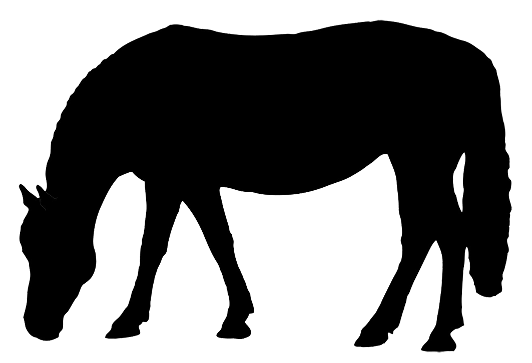 1063x727 vector horse friesian huge freebie! download for powerpoint