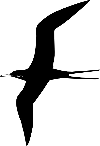 408x595 Frigate Bird Clip Art Free Vector In Open Office Drawing