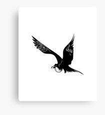 210x230 Frigate Birds Drawing Canvas Prints Redbubble