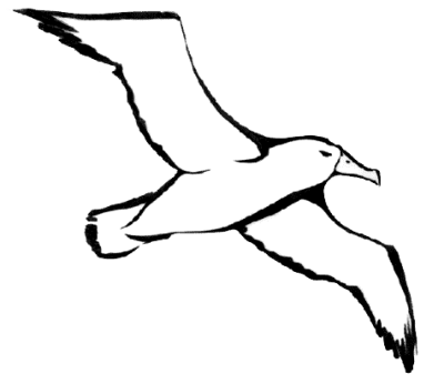 400x346 Frigate Bird Png