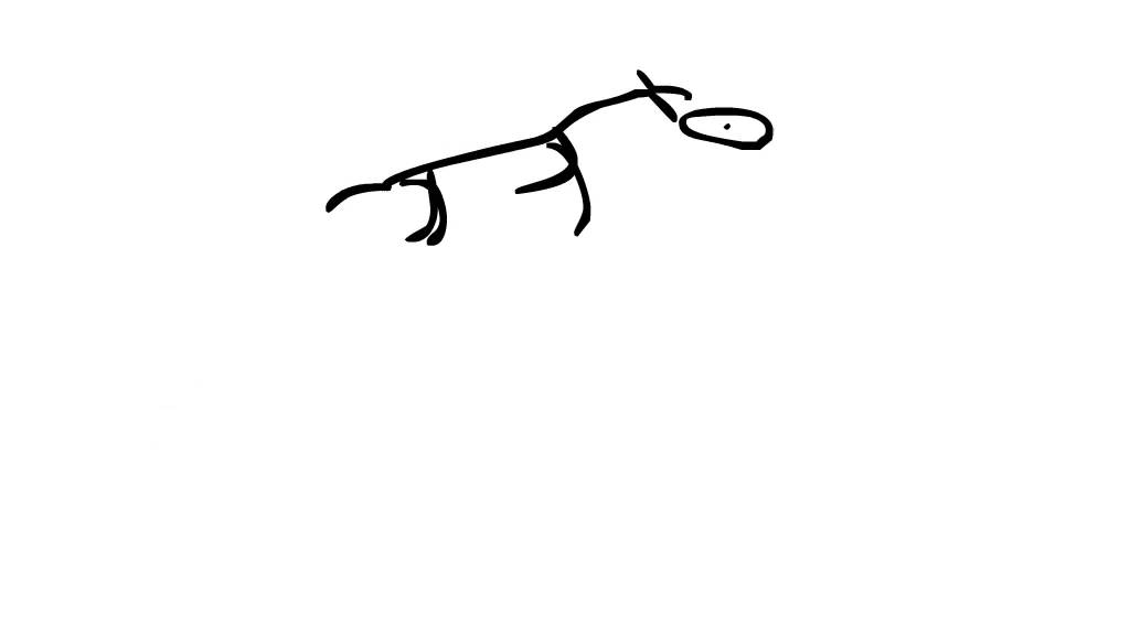 1024x576 Dog Jumping Catching A Frisbee