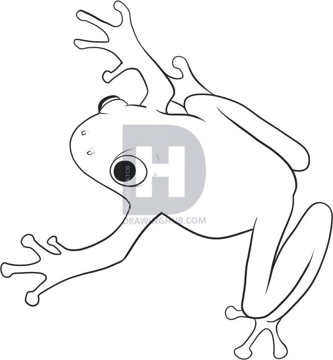 662x716 How To Draw An Easy Frog, Step