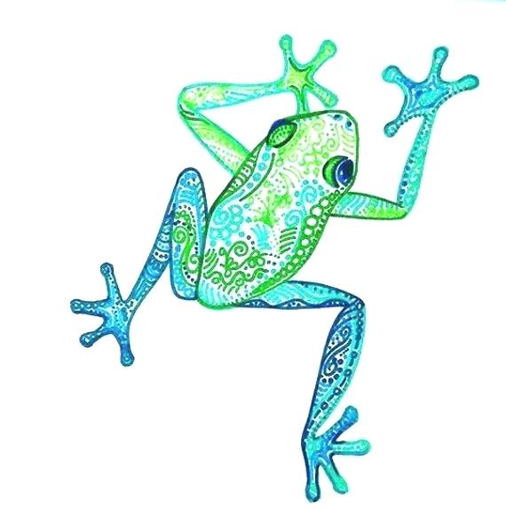 570x572 Tree Frog Drawing How Do You Draw A Tree Frog