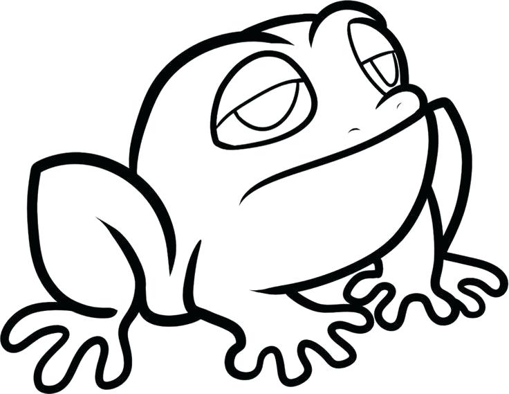 736x569 Frog Drawing For Kids