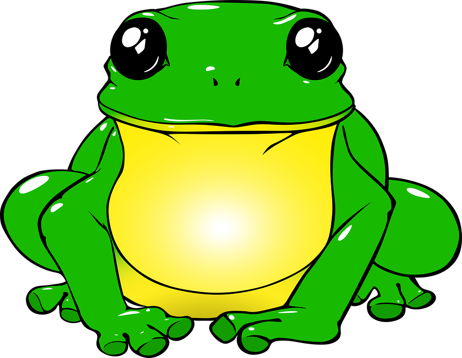 929x720 Drawing Frogs Animal Transparent Png Clipart Free Download