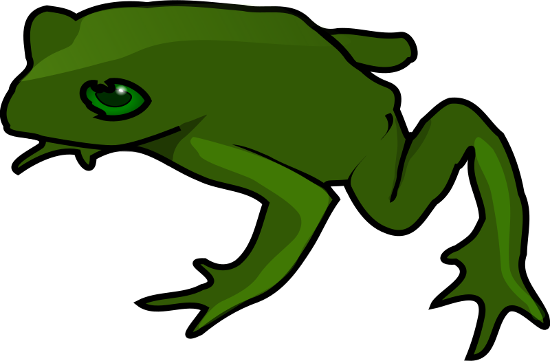 800x525 Collection Of Free Frog Drawing Background Download On Ui Ex