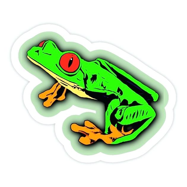 630x630 red eyed tree frog drawing how to draw a red eyed tree frog red