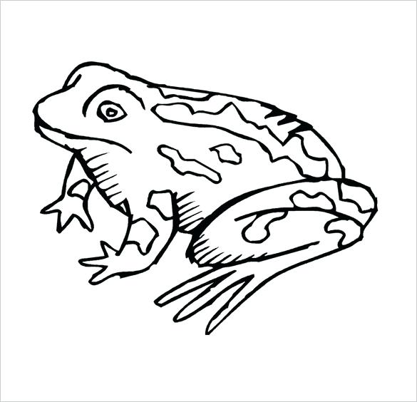 585x564 Coloring Pages Draw A Toad Funny Frog Coloring