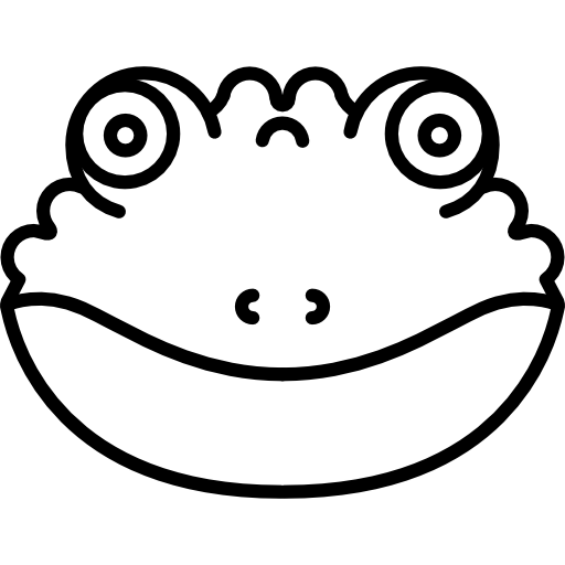 512x512 Amphibian Drawing Face, Picture