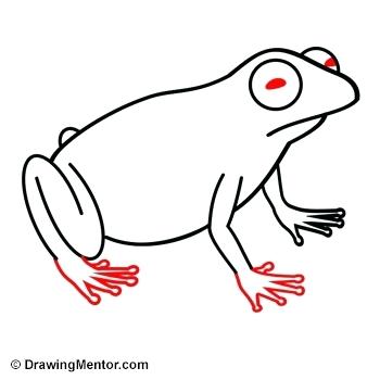 350x350 Frog Steps Programmingkeeda Club