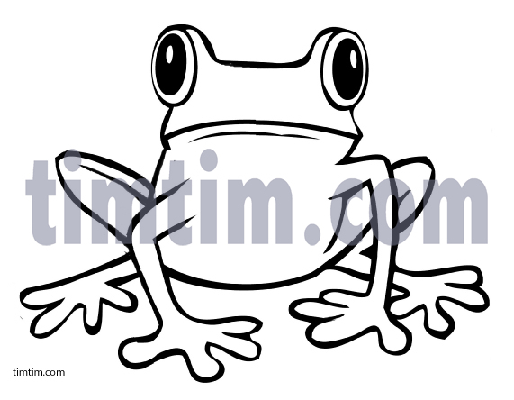 571x444 Free Drawing Of A Red Tree Frog Bw From The Category Reptiles