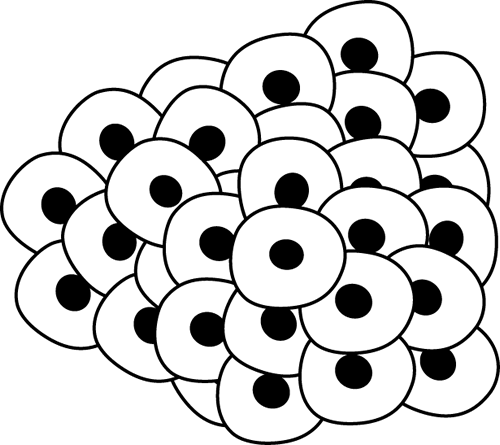 500x445 Frog Line Cliparts