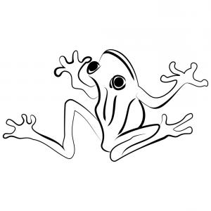 300x300 Frog One Line Drawing Continuous One Line Drawing Black And White