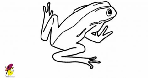 471x250 Top Notch Simple Frog Drawing A Step
