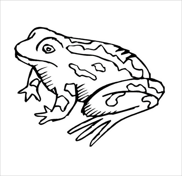585x564 Frog Template