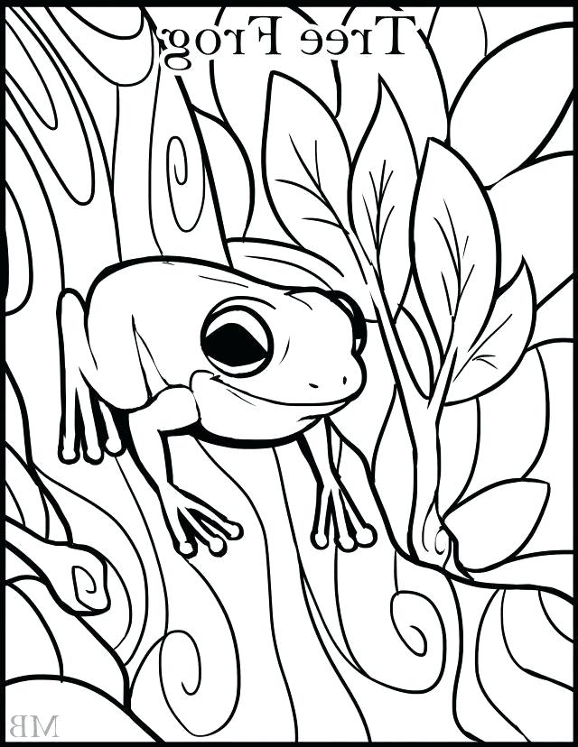 640x828 Simple Frog Simple Jumping Frog Origami Karissawright Club
