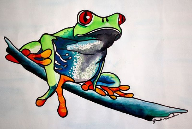 800x538 Watercolor Frog Single Continuous Contour Line Drawing, Art Is