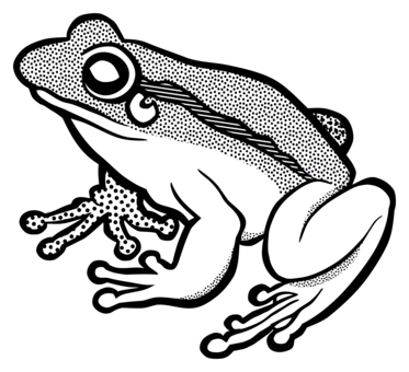 373x340 Drawing Frog Pencil Transparent Png Clipart Free Download