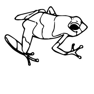 300x300 Coloring Pages Frog On Lily Pad New Frog And Toad Are Friends