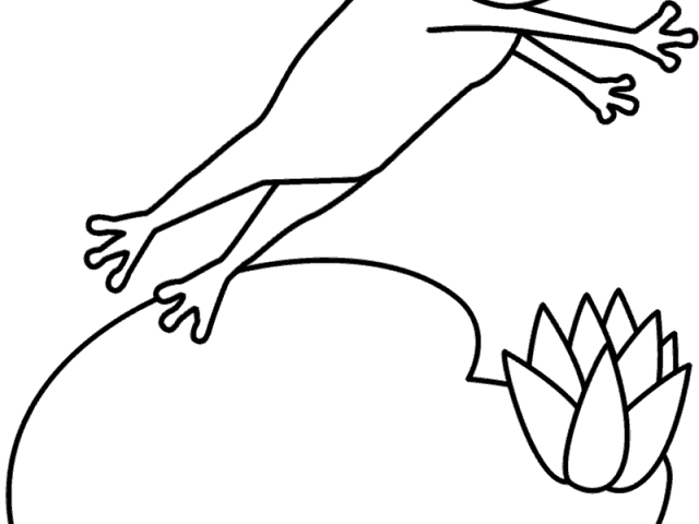 640x480 Free Drawn Frog, Download Free Clip Art