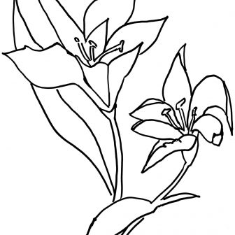 336x336 Frog And Lily Pad Coloring