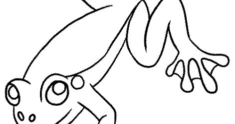 471x250 Sheets Leapfrog