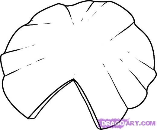 520x431 Step How To Draw A Lily Pad