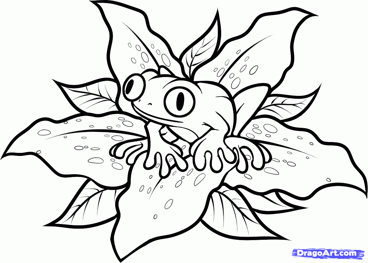 1188x850 Step How To Draw A Frog Tattoo, Frog Tattoo