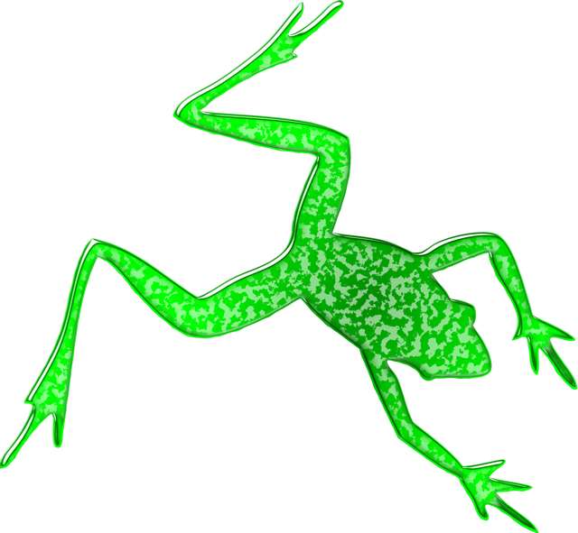 640x591 How To Draw A Frog
