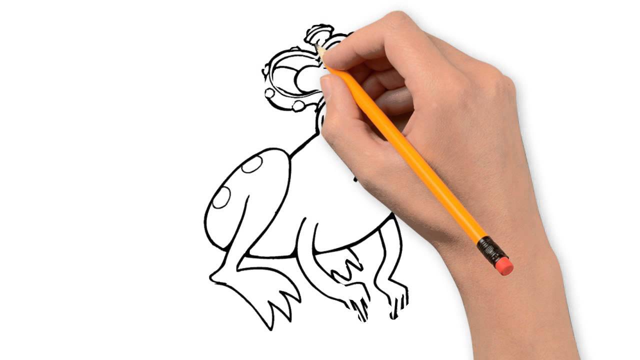 1280x720 Frog Animals Pencil To Draw Step